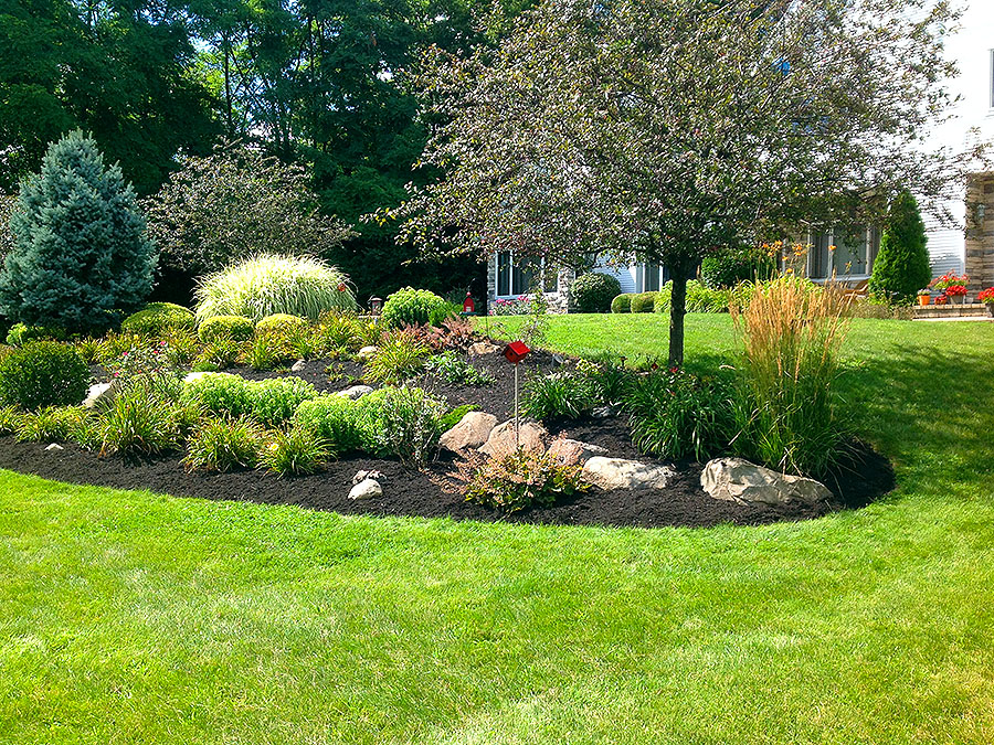 A garden with trees and bushes in the background.